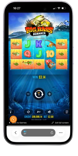 Winnende combinatie van Big Bass Bonanza met weergegeven uitbetaling